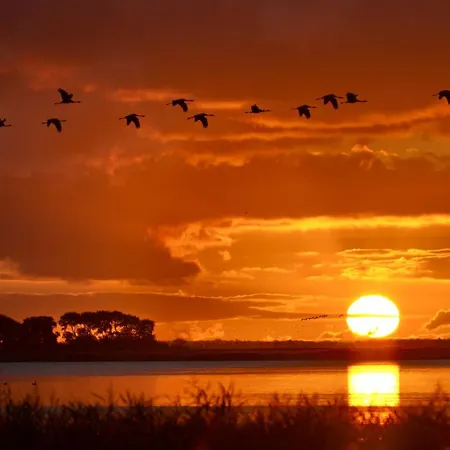 Apartment Sonnendeck Prerow