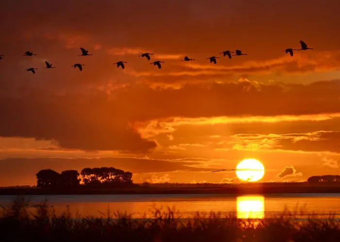 아파트 Sonnendeck 프레로